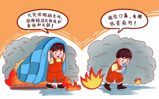 工作實踐與考研哪個好（工作vs考研）