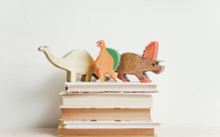 考研數學基礎要二刷（數二基礎階段刷誰的題）